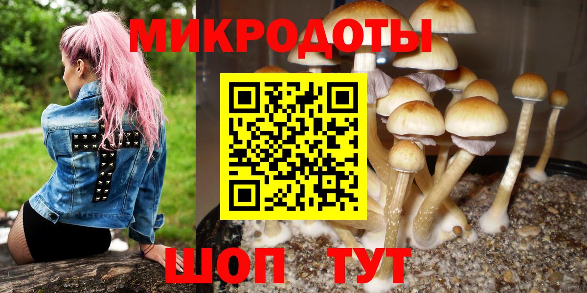 Галлюциногенные грибы Psilocybine cubensis  Вход с VPN  Искитим 